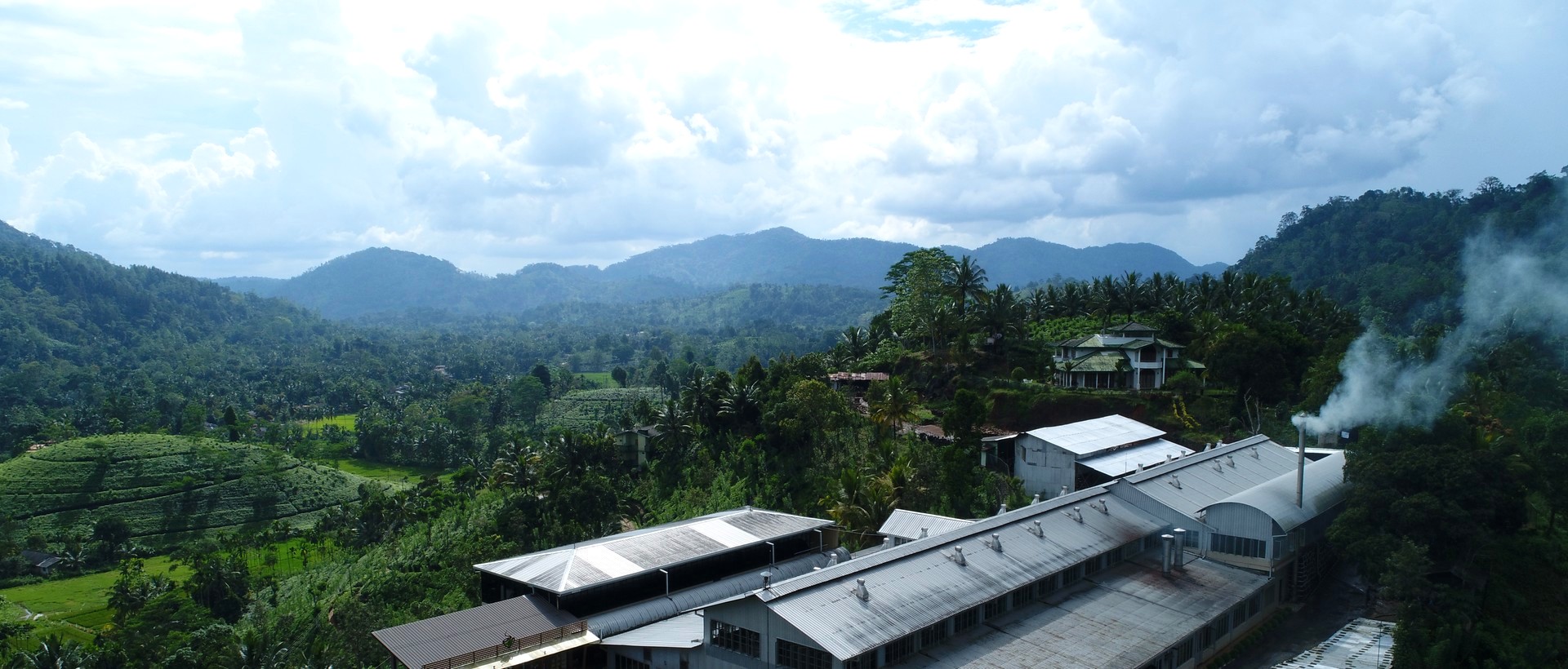 Lumbini Tea Valley Estate Terroir
