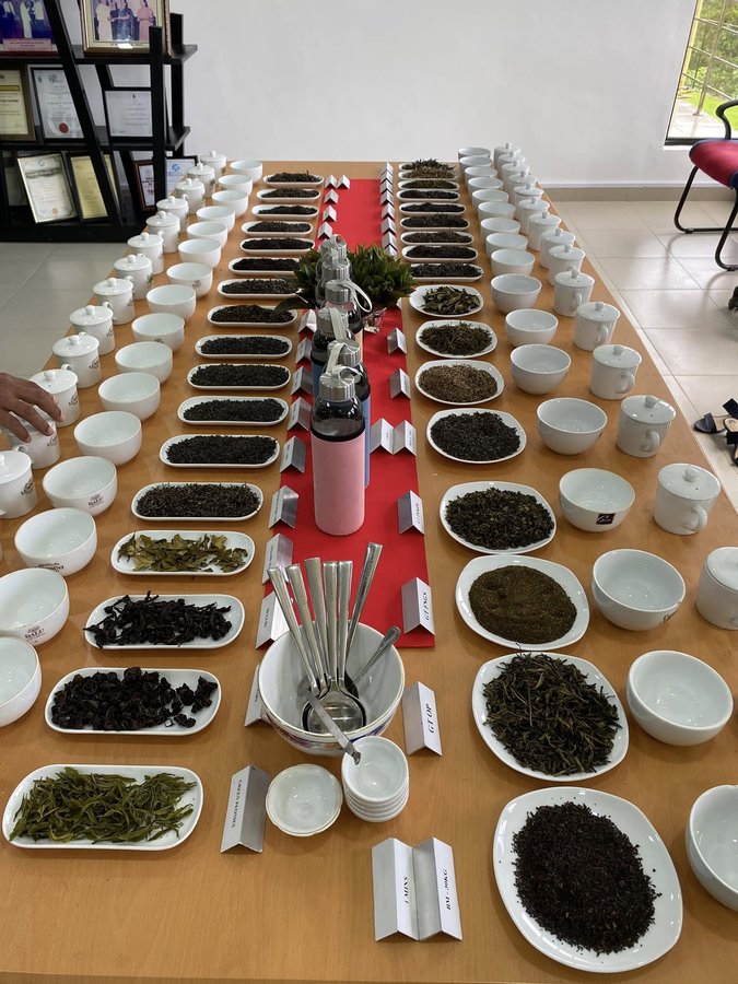 Estate cupping table